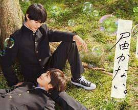 暮光之城2 百度百科